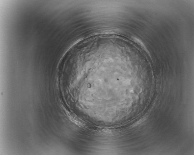 X0000068770827200605121659