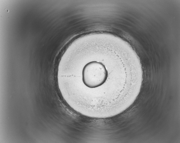 X0000068770828200605121659