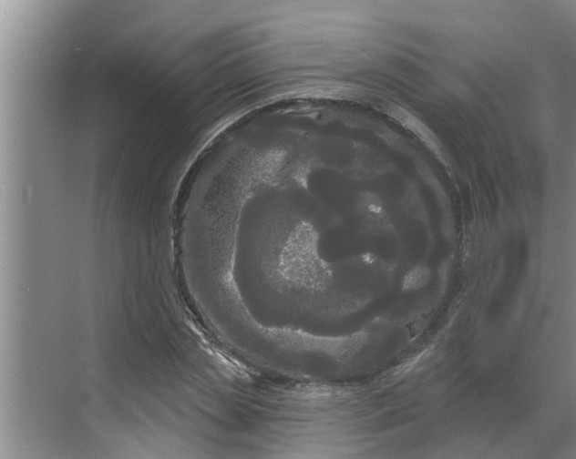 X0000068770829200605121659