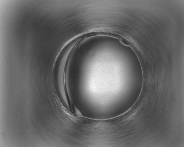 X0000068770830200605121659