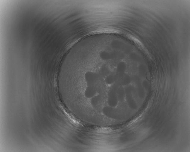 X0000068770833200605121659