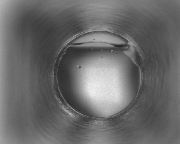 X0000068770834200605121659