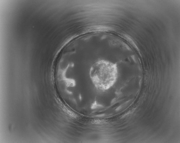 X0000068770835200605121659