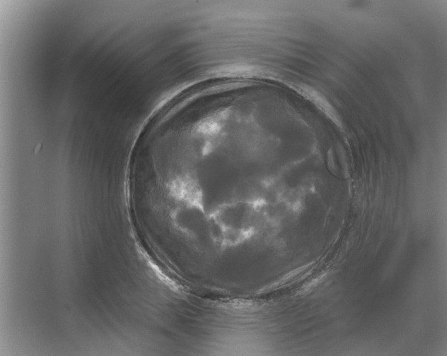 X0000068770839200605121659