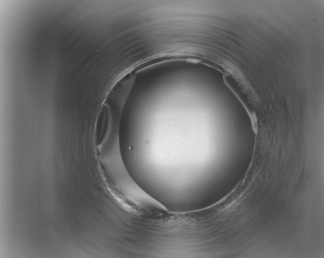 X0000068770842200605121659