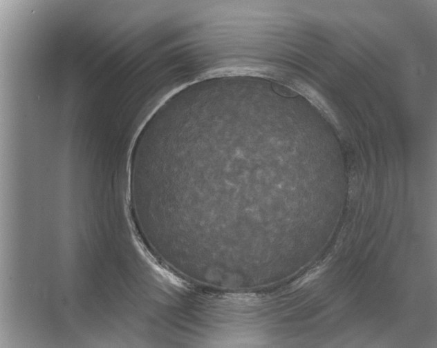 X0000068770844200605121659