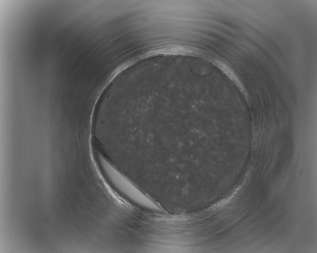 X0000068770845200605121659