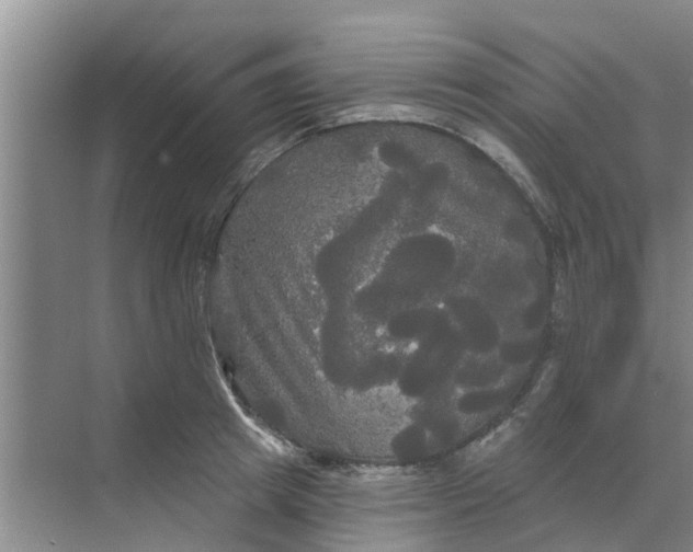 X0000068770849200605121700