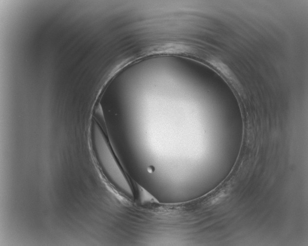 X0000068770850200605121700