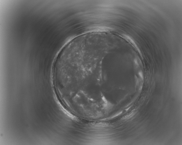 X0000068770851200605121700