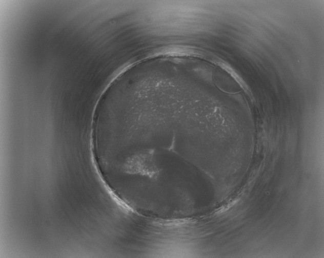 X0000068770853200605121700