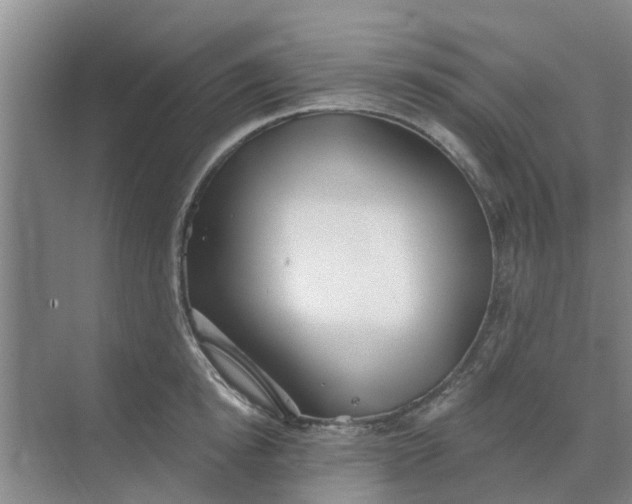 X0000068770854200605121700