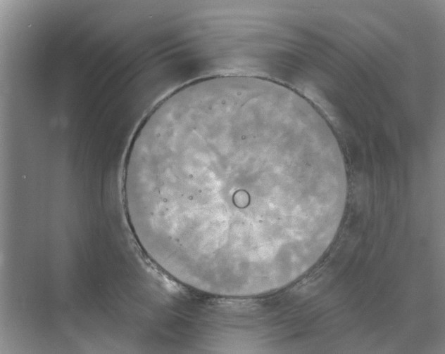 X0000068770856200605121700