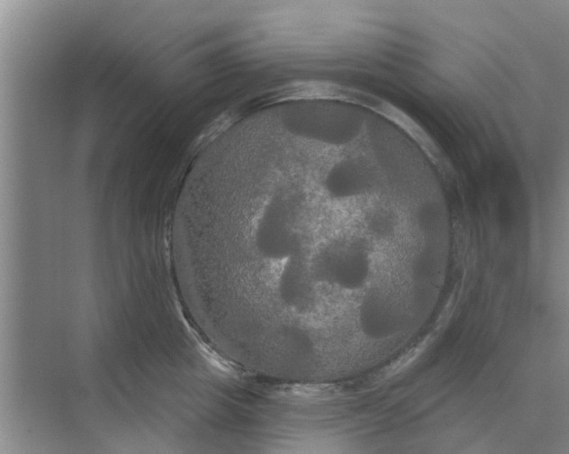 X0000068770857200605121700