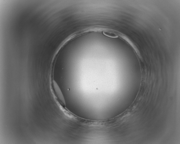 X0000068770861200605121700