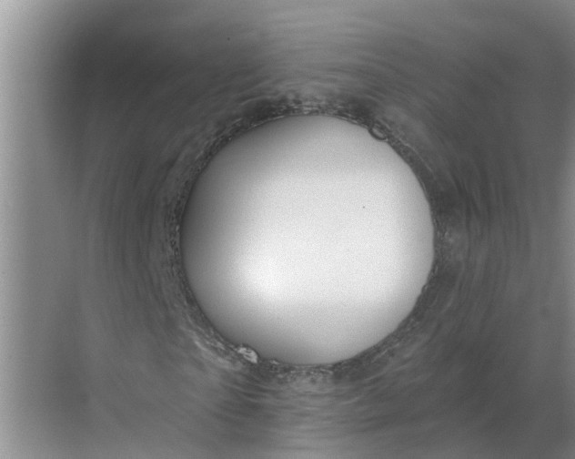 X0000068770865200605121659