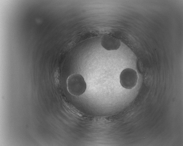 X0000068770866200605121659