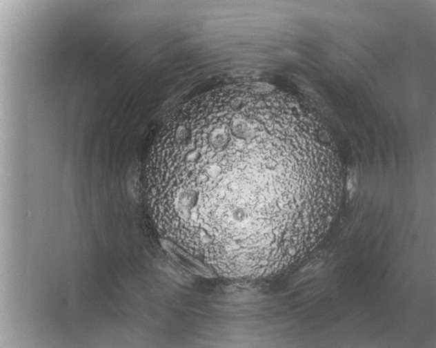 X0000068770867200605121659