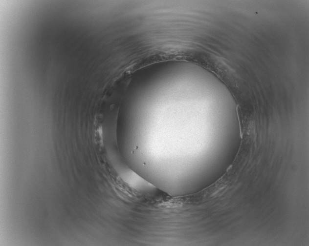 X0000068770868200605121659