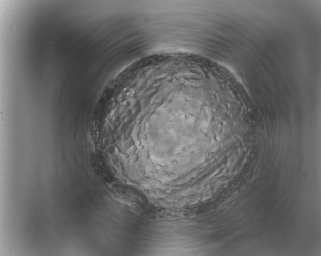 X0000068770871200605121659