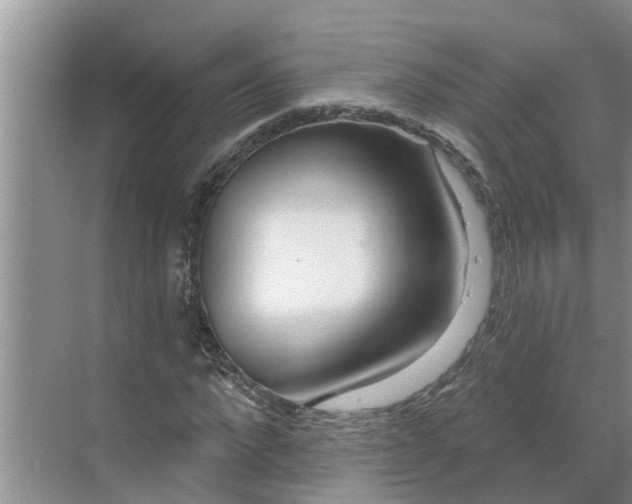 X0000068770872200605121659