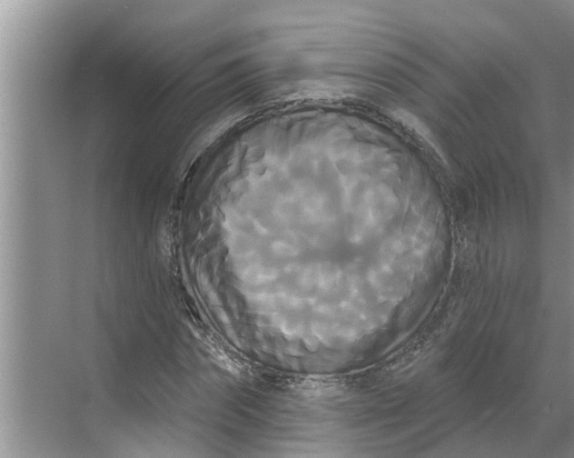 X0000068770874200605121659