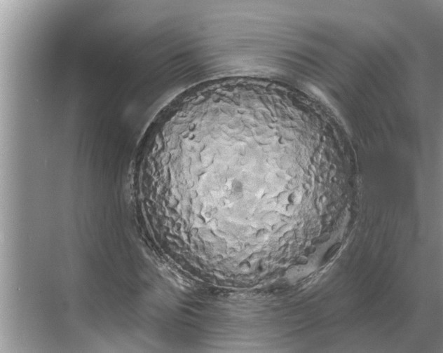 X0000068770875200605121659