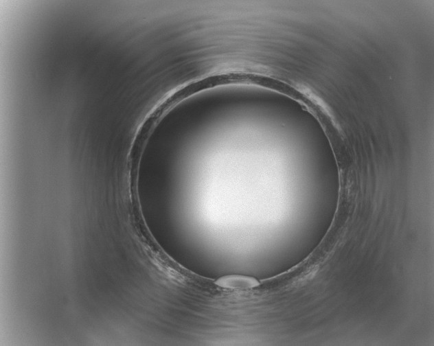 X0000068770877200605121659