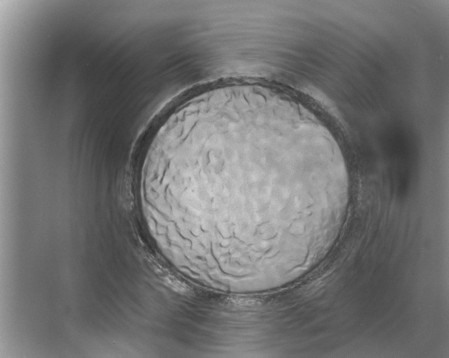 X0000068770878200605121659