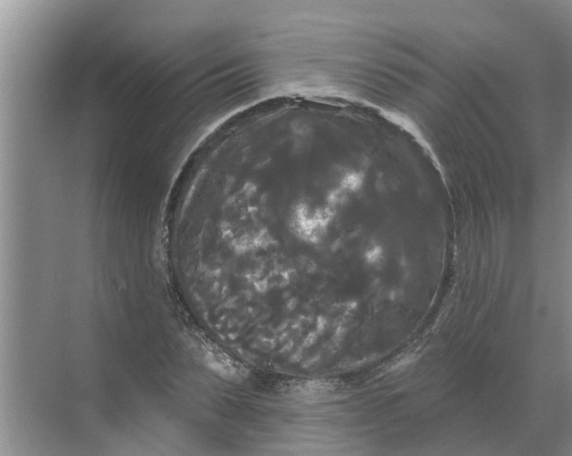 X0000068770879200605121659