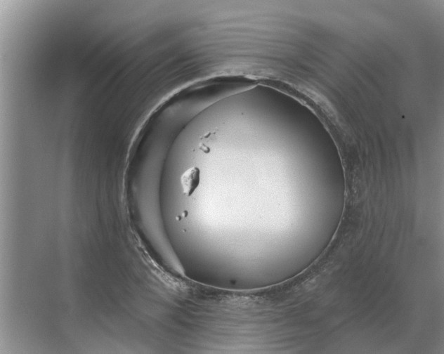 X0000068770880200605121659