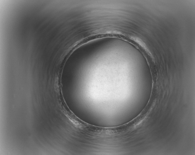 X0000068770881200605121659