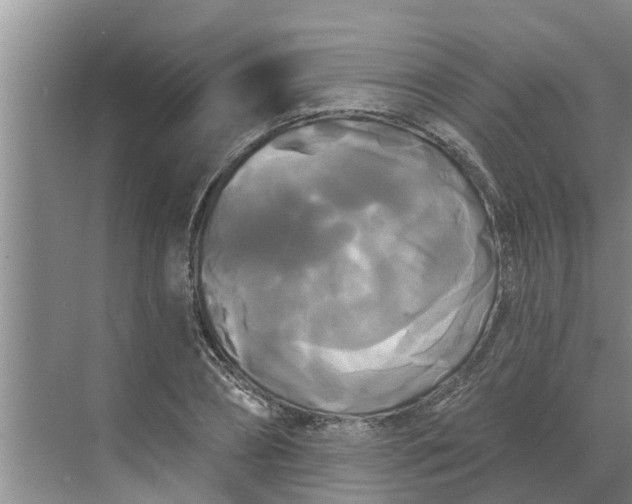 X0000068770882200605121659