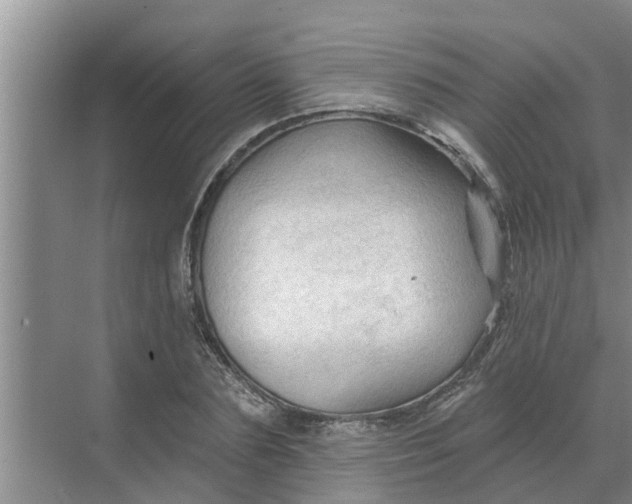 X0000068770883200605121659