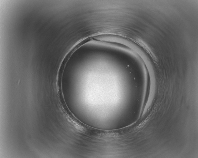 X0000068770884200605121659