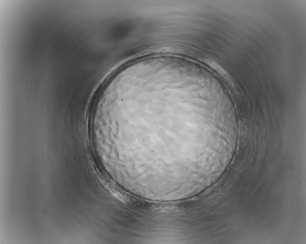 X0000068770886200605121659