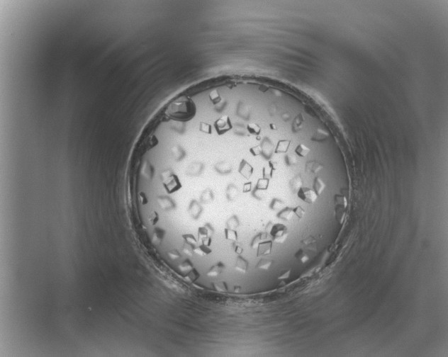 X0000068770887200605121659