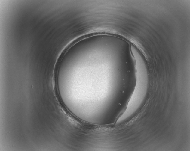 X0000068770888200605121659