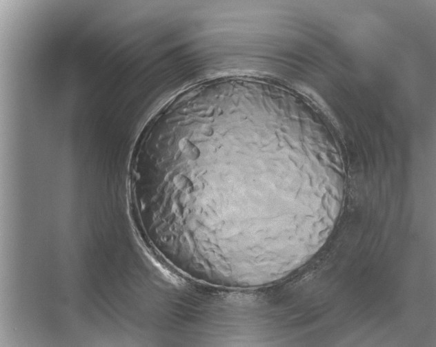 X0000068770890200605121659