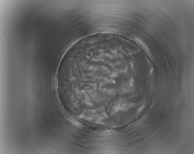 X0000068770891200605121659