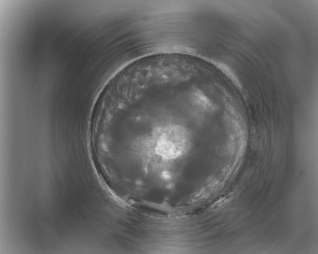 X0000068770895200605121658