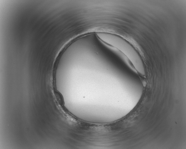 X0000068770896200605121658