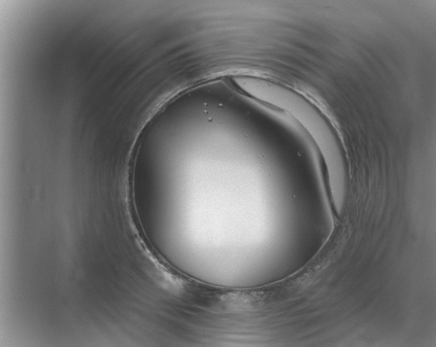 X0000068770898200605121658