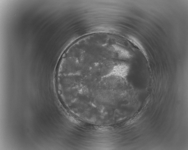 X0000068770899200605121658