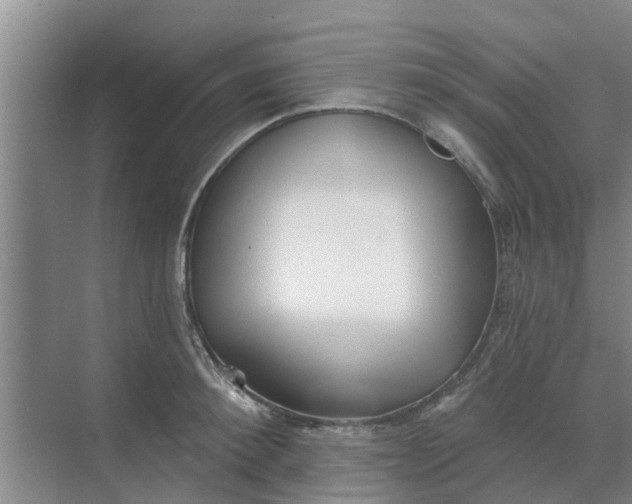 X0000068770900200605121658