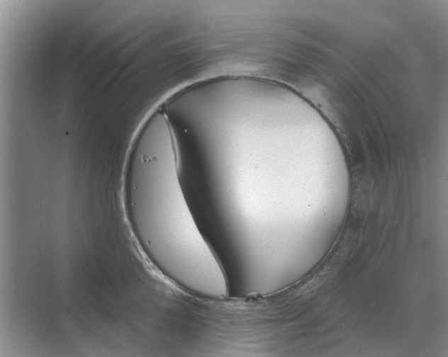 X0000068770904200605121658