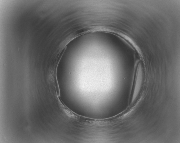 X0000068770905200605121658