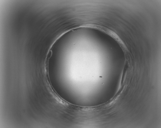 X0000068770908200605121658