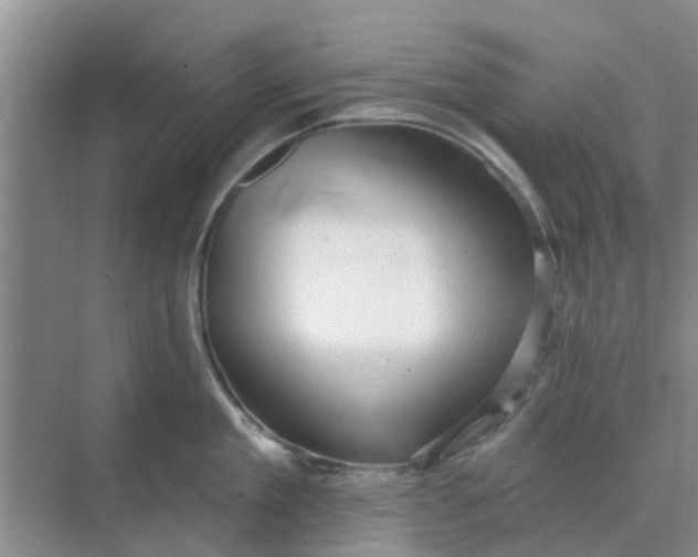 X0000068770909200605121658