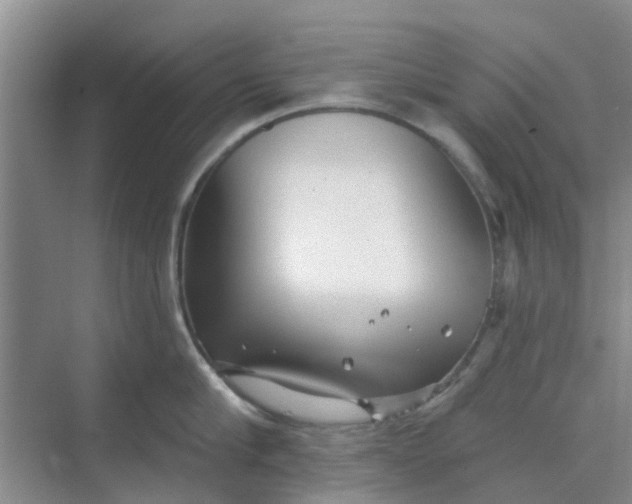 X0000068770910200605121658